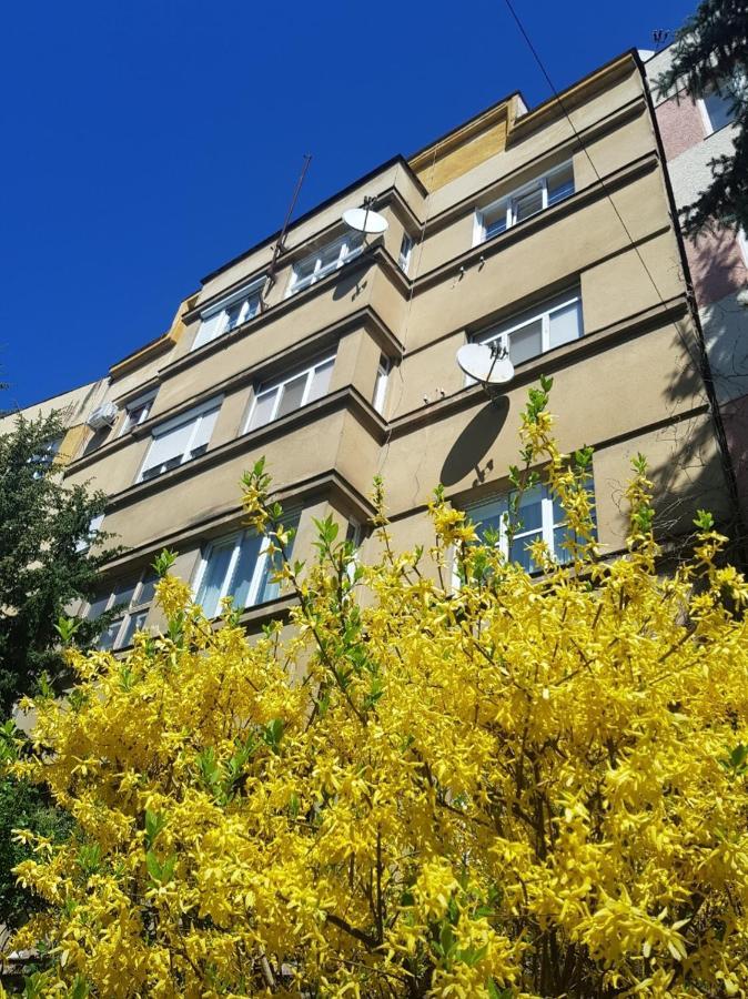 Затишні Смарт-Квартири В Історичному Центрі! Διαμέρισμα Uzhhorod Εξωτερικό φωτογραφία